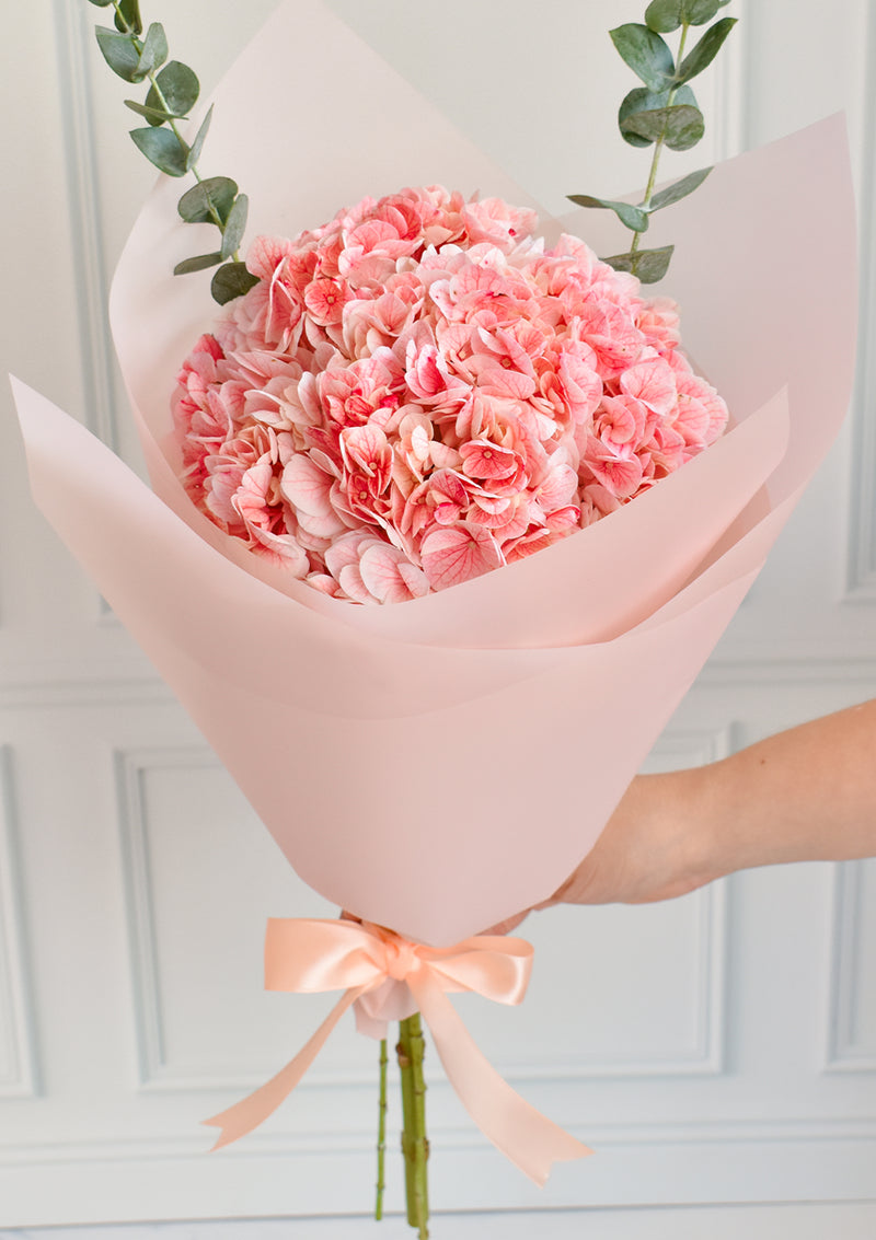 Ramo Premium de Hortensias Rosadas